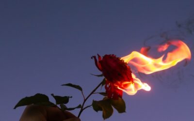 Ways to Keep the Spark Alive in Long-Term Relationships